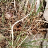 Foto PugliaExperience 2010 parte 1