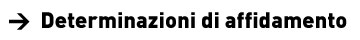 Vai alle determinazioni di affidamento