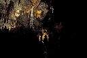 AAW 2011 - Ph35