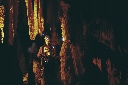 AAW 2011 - Ph37