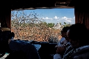 AAW 2011 - BR - Ph50