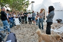 AAW 2011 - BR - Ph69