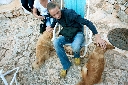 AAW 2011 - BR - Ph71