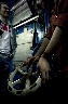 AAW 2011 - TA - Ph54