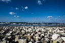 AAW 2011 - FG - Ph23