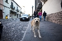 AAW 2011 - FG - Ph25
