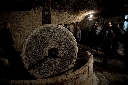 AAW 2011 - FG - Ph37