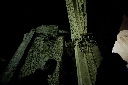 AAW 2011 - FG - Ph48