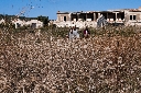 AAW 2011 - FG - Ph55