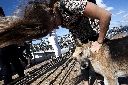 AAW 2011 - TA - Ph35