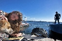 AAW 2011 - TA - Ph82