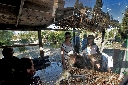 AAW 2011 - TA - Ph99