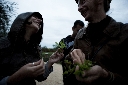 AAW 2011 - BAT - Ph20