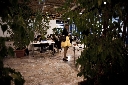 AAW 2011 - PS_BA - Ph74