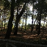 Foto PugliaExperience 2010 parte 1
