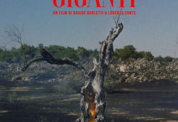 Arriva al cinema "Il Tempo dei Giganti", il documentario sulla strage degli ulivi millenari causata dalla xylella
