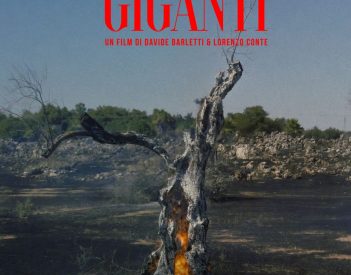 Arriva al cinema "Il Tempo dei Giganti", il documentario sulla strage degli ulivi millenari causata dalla xylella