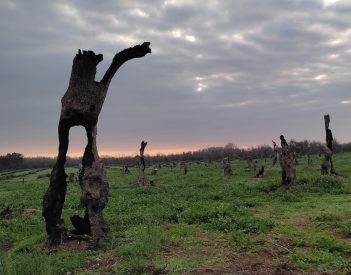 Il tempo dei giganti